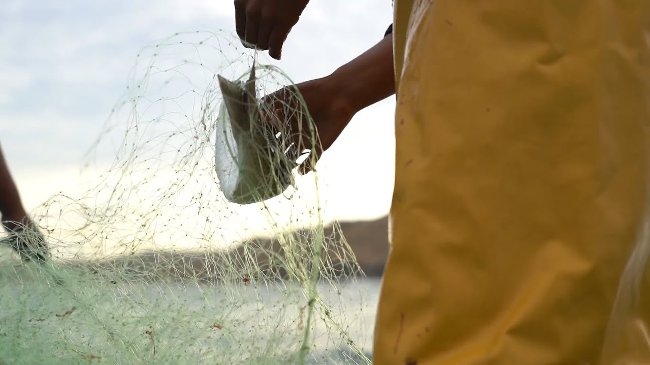El Salto de la Lisa | Cortometraje Documental por Pablo Jimeno