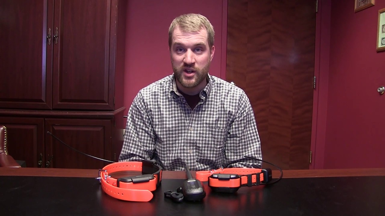 Dogtra PathFinder Mini