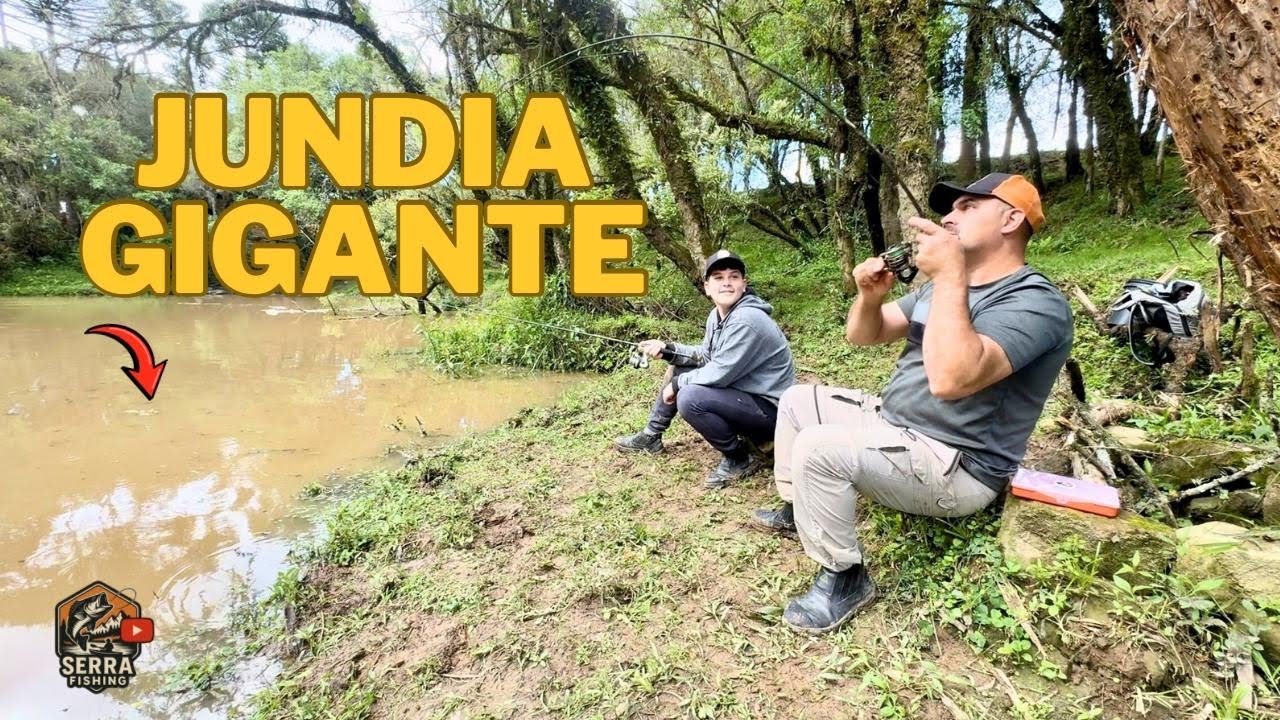 Pescaria de jundiá, um gigante que virou recorde🎣