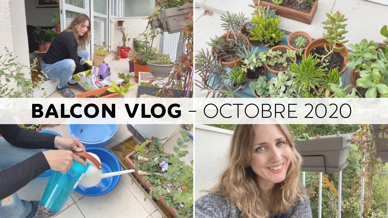 🌿 BALCON VLOG OCTOBRE 🍂 PLANTES SUCCULENTES🌵, RÉCUPÉRATION EAU DE PLUIE💦, TAILLE✂️, PLANTATION🌱...
