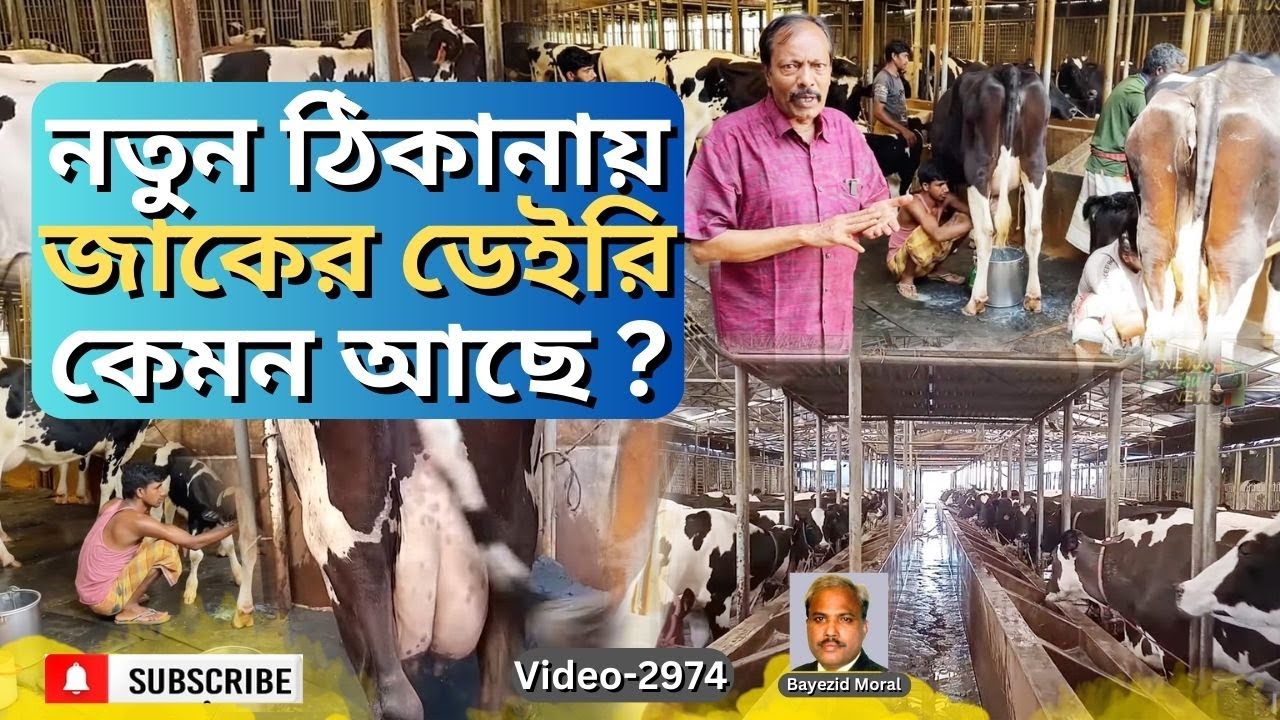 ঢাকা শহরের সবচেয়ে বড় ডেইরি খামার জাকের ডেইরির সর্বশেষ খবর | Zaker Dairy | Agriculture News