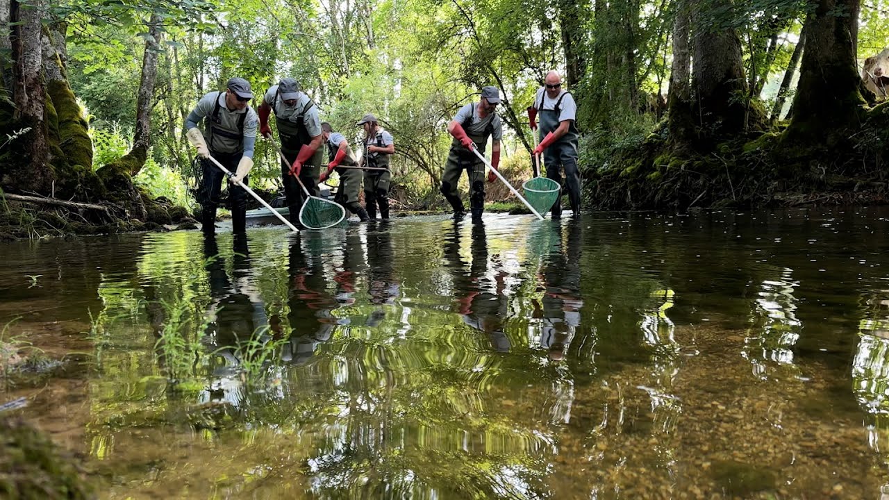 Une pêche pour déterminer l’état écologique d’une rivière
