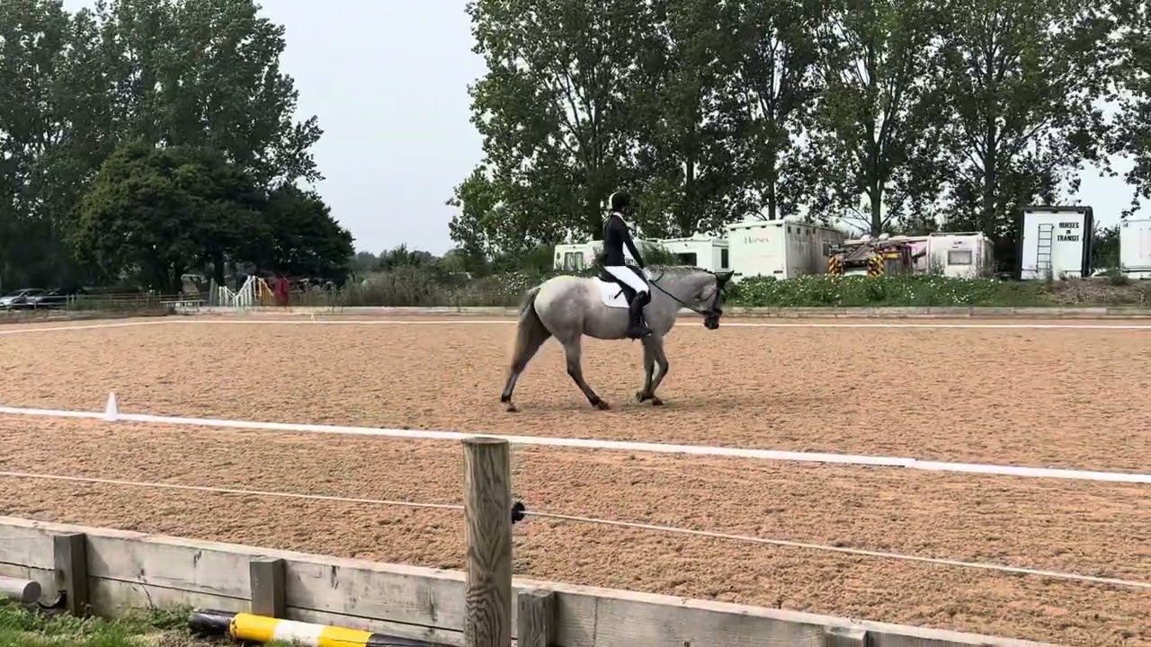 Zara Thomlinson & Sparrow Brigade - Prelim 2 (2024) - 68.91% - 3rd Place