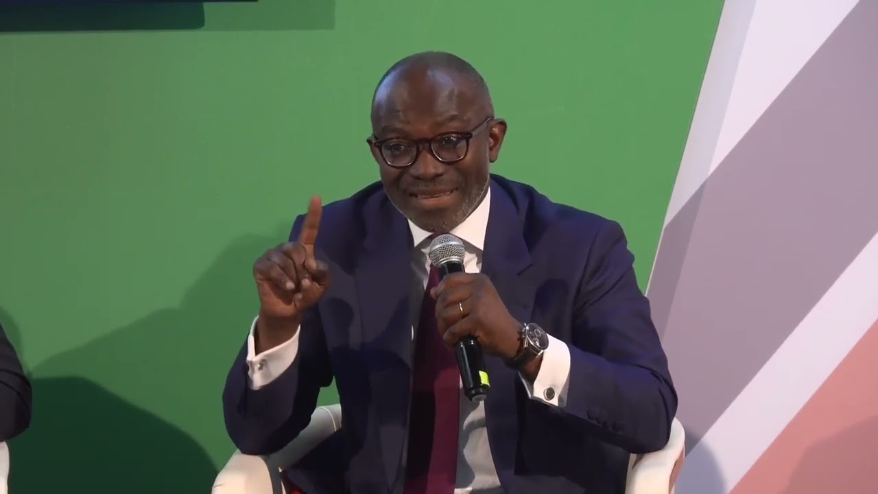 Mobilizing domestic savings to finance transformation.