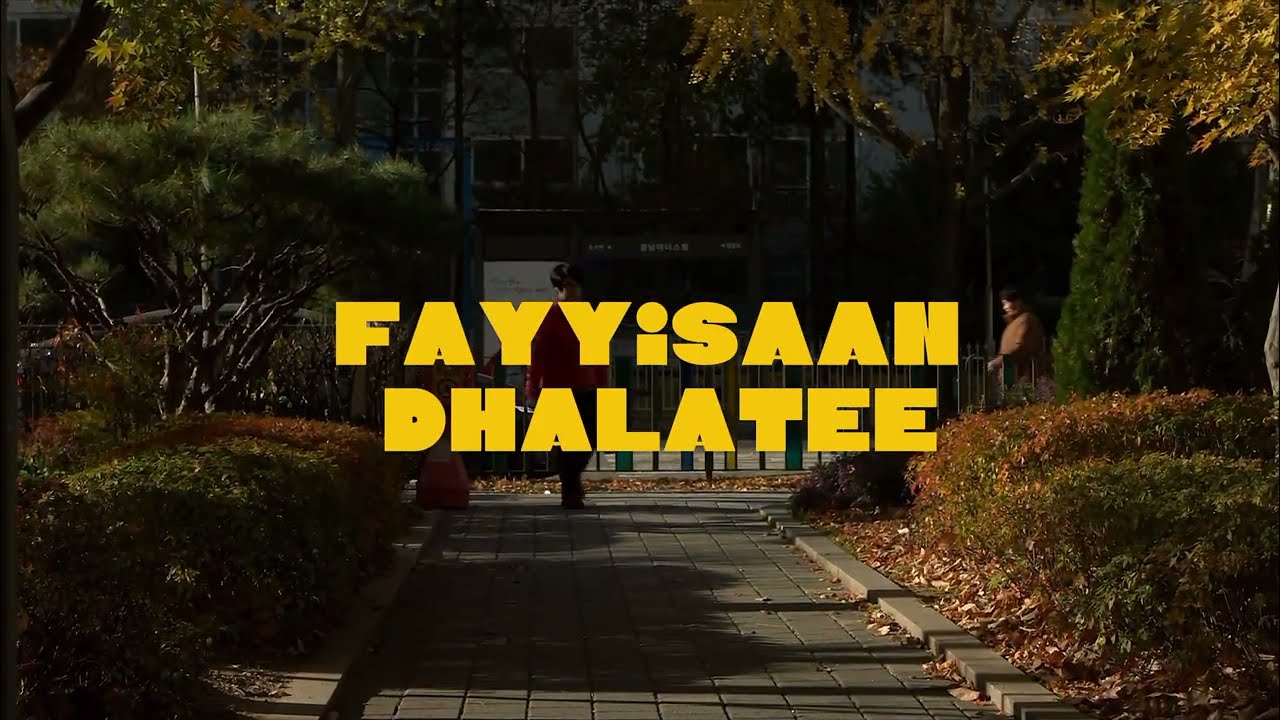 Abel Lyrics~ FAYYISAAN DHALATEE [Official Music Video]