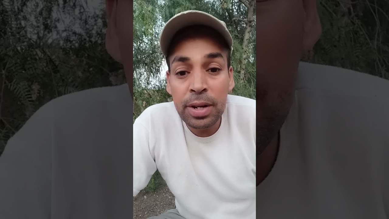 واش دجاج البلدي المحسن هو خليط السلالات ولا كاين الفرق بينتهم