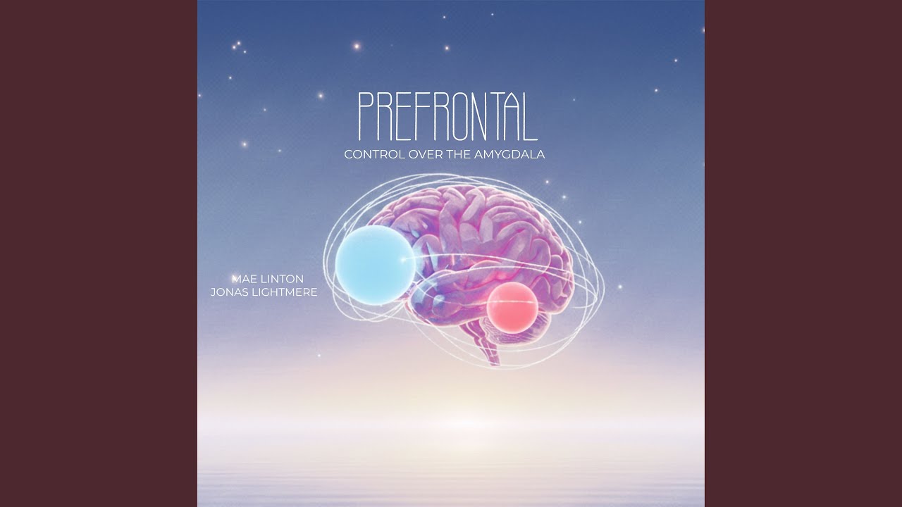 Reason Above Reaction