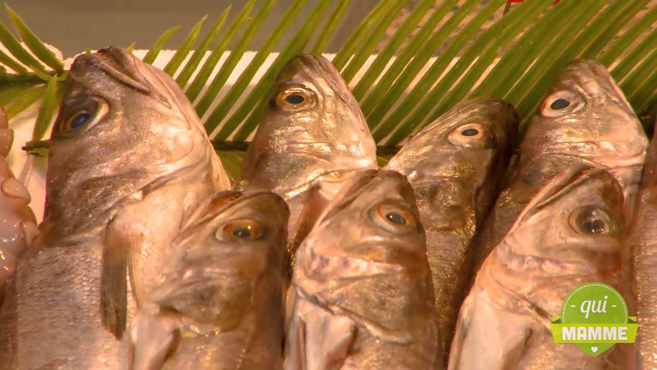 istruzioni per l uso gastronoma bettelli come conservare i cibi nel congelatore 1