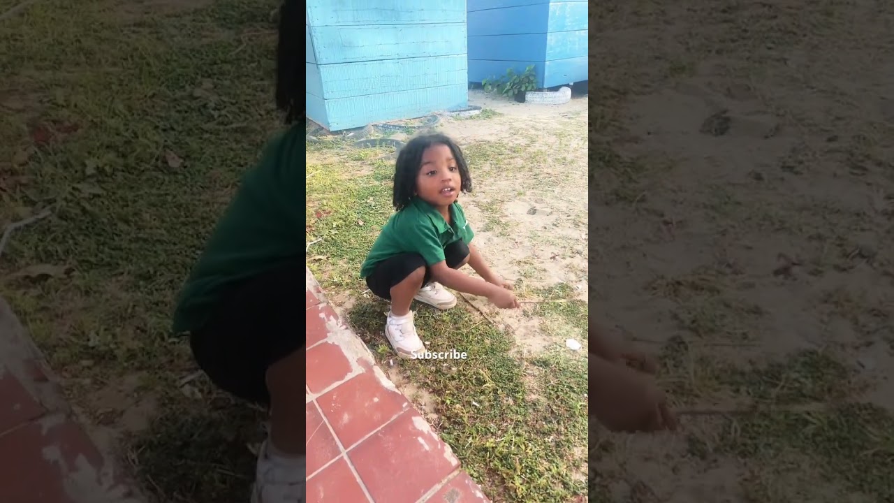 Gambian Evenings #diasporareturn #movingtoafrica #gambia