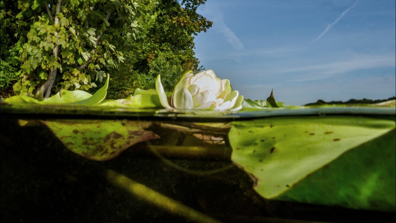 Herfst onder water, Natuurbad Engelbert, 2 oktober 2025