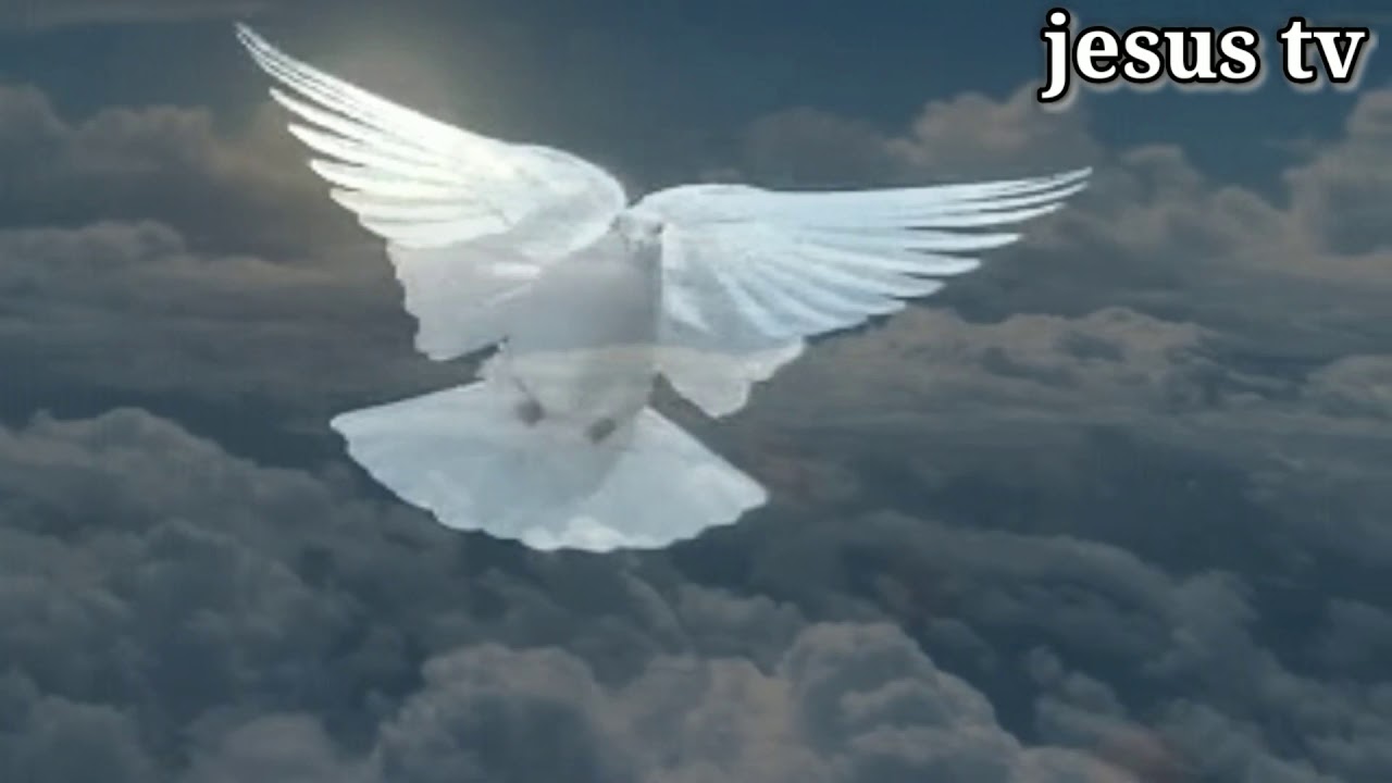 البوم تعالي باركينا