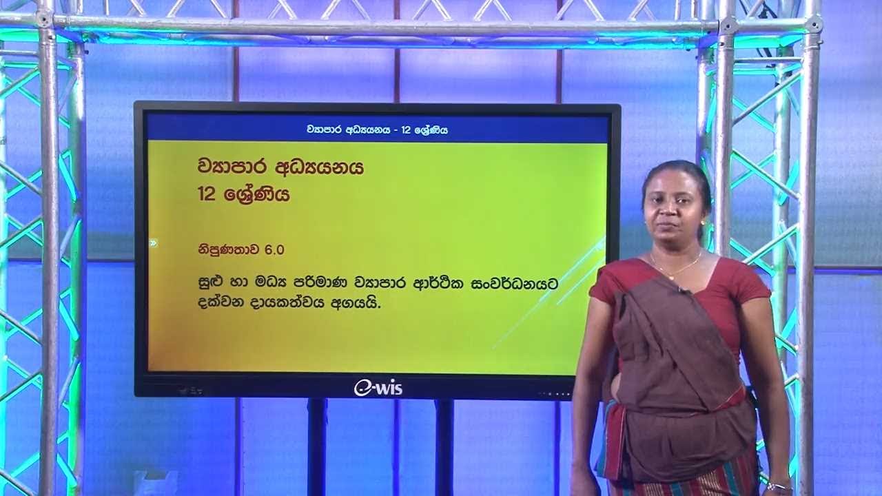 සුළු හා මධ්‍ය පරිමාණ ව්‍යාපාරවල ලක්ෂණ - 12 ශ්‍රේණිය (ව්‍යාපාර අධ්‍යයනය)
