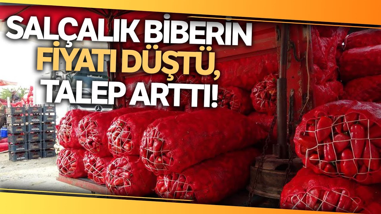 Salçalık Biberin Kilosu 12 TL’den 10 TL’ye Düştü