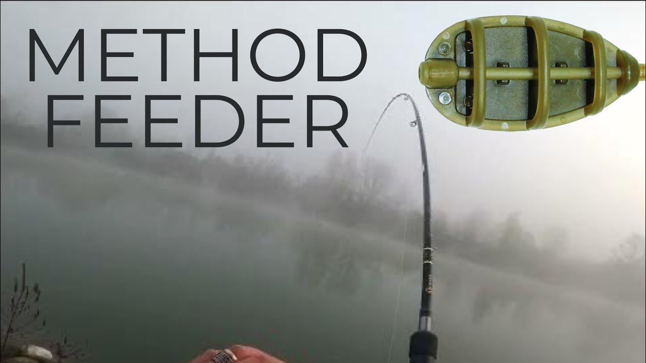 Carpa selvatica a method feeder