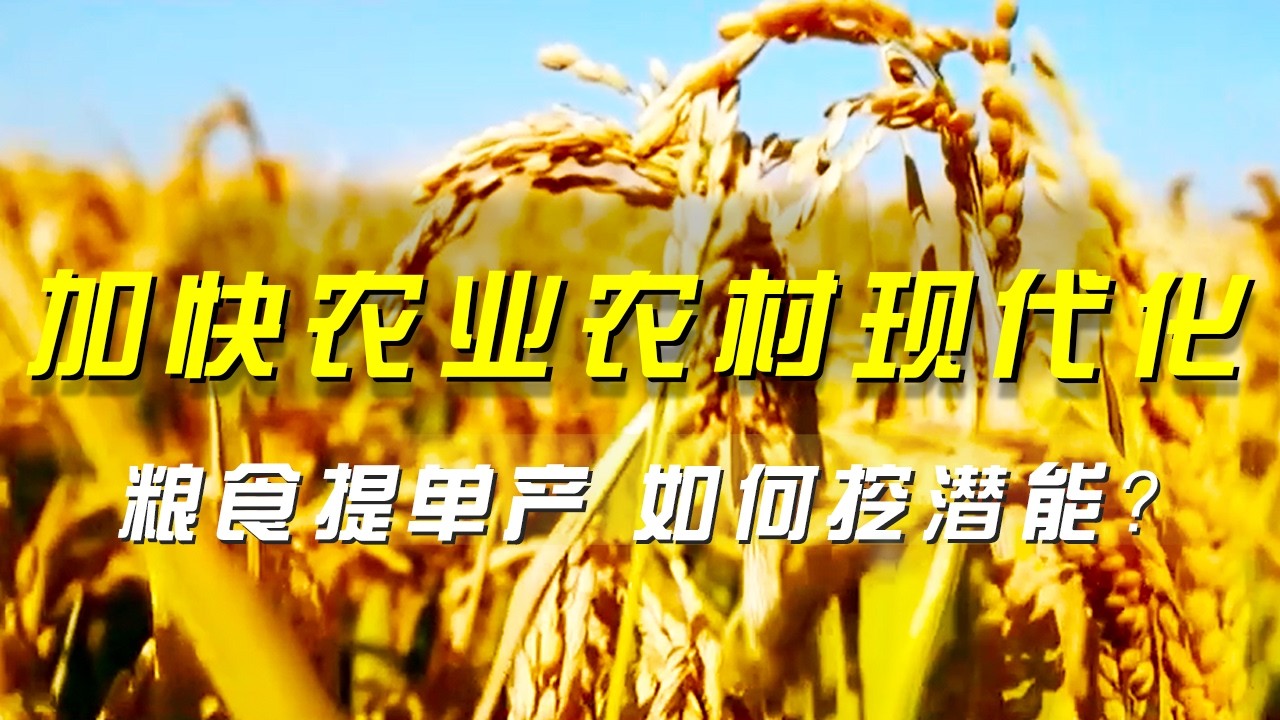 加快农业农村现代化 粮食提单产 如何挖潜能？《央视财经评论》 20260204 |  财经风云