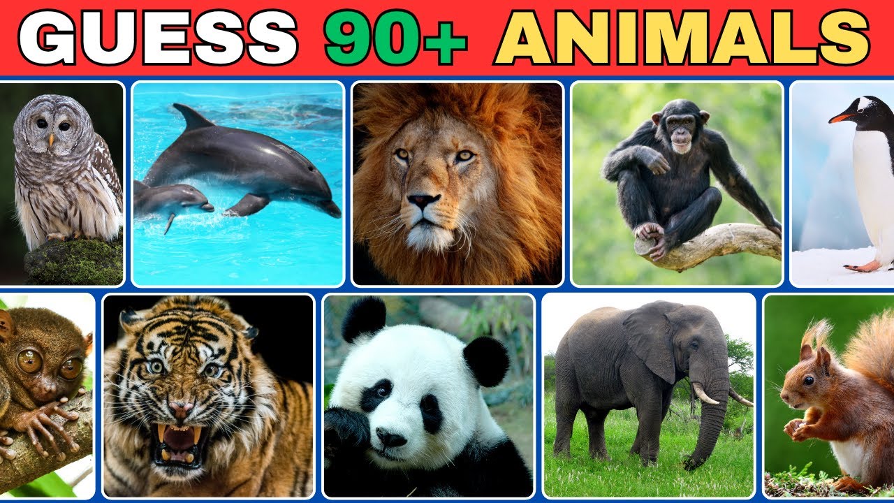 Can You Guess the Animal in 4 Seconds? 🐾 Easy, Medium & Hard Fun Quiz!