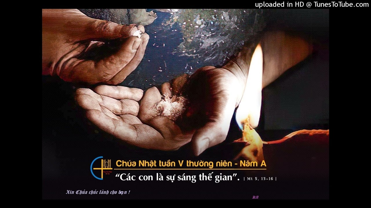 Suy niệm Chúa nhật 5 mùa TN năm A của LM Nguyễn văn Nghĩa (Sống với và sống cho nhau )