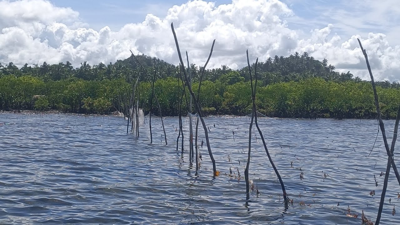 Grabe ang daming sea foods sa Isla 