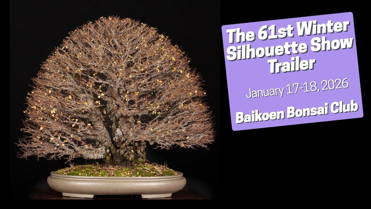 Trailer | 61st Baikoen Bonsai Club Winter Silhouette Show | Jan 17&ndash;18, 2026 | LA Arboretum