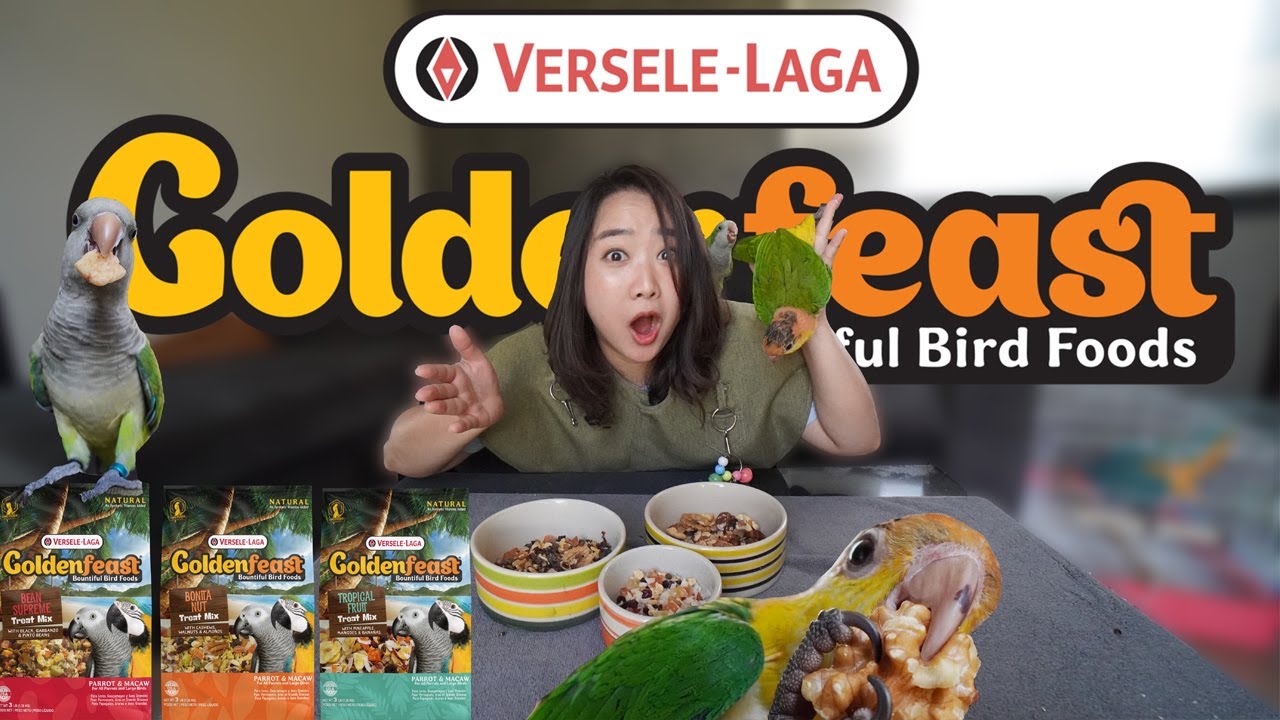 GoldenFeast 3 สูตรใหม่!!! Ep.317