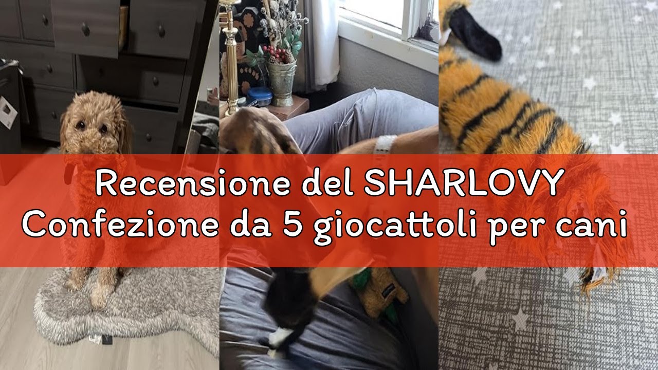 Recensione del SHARLOVY Confezione da 5 giocattoli per cani di taglia grande e media, con squeak e f