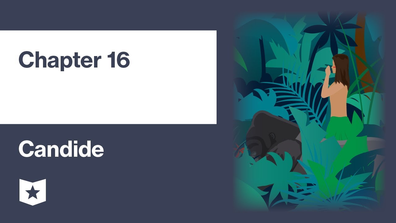 Кандид Вольтера | Глава 16
