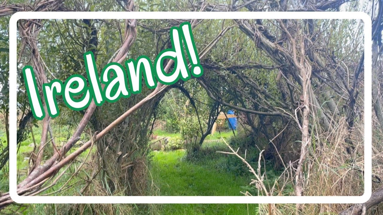 Ireland! - Our First Look Around Our New Workaway Near Sligo