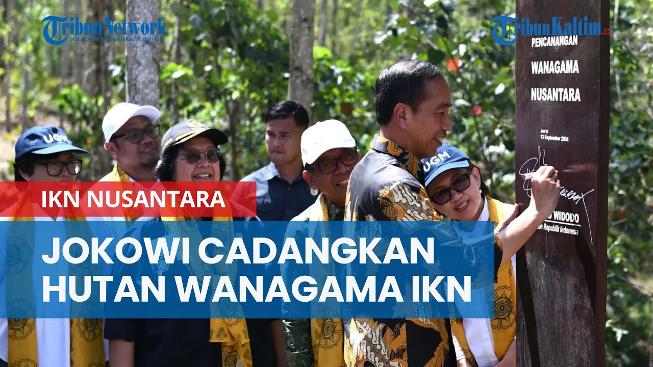 Jokowi Canangkan Hutan Wanagama Nusantara untuk Dukung Pembangunan IKN