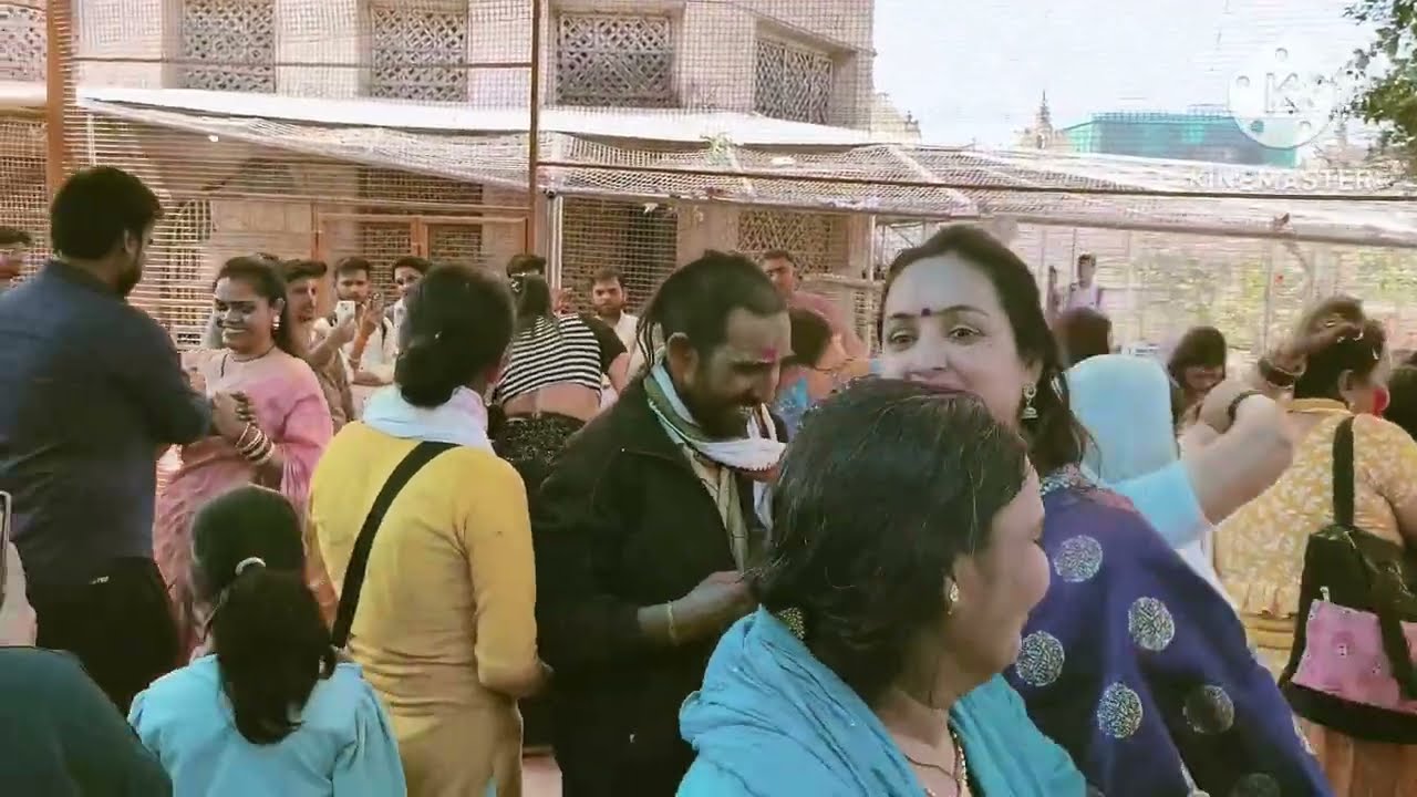 #निधिवन_वृन्दावन #viral #SAU #प्रेमानंदमहाराज #प्रेमानंदमहाराजजी #बाके_बिहारी_मंदिर #यमुना_गंगा 