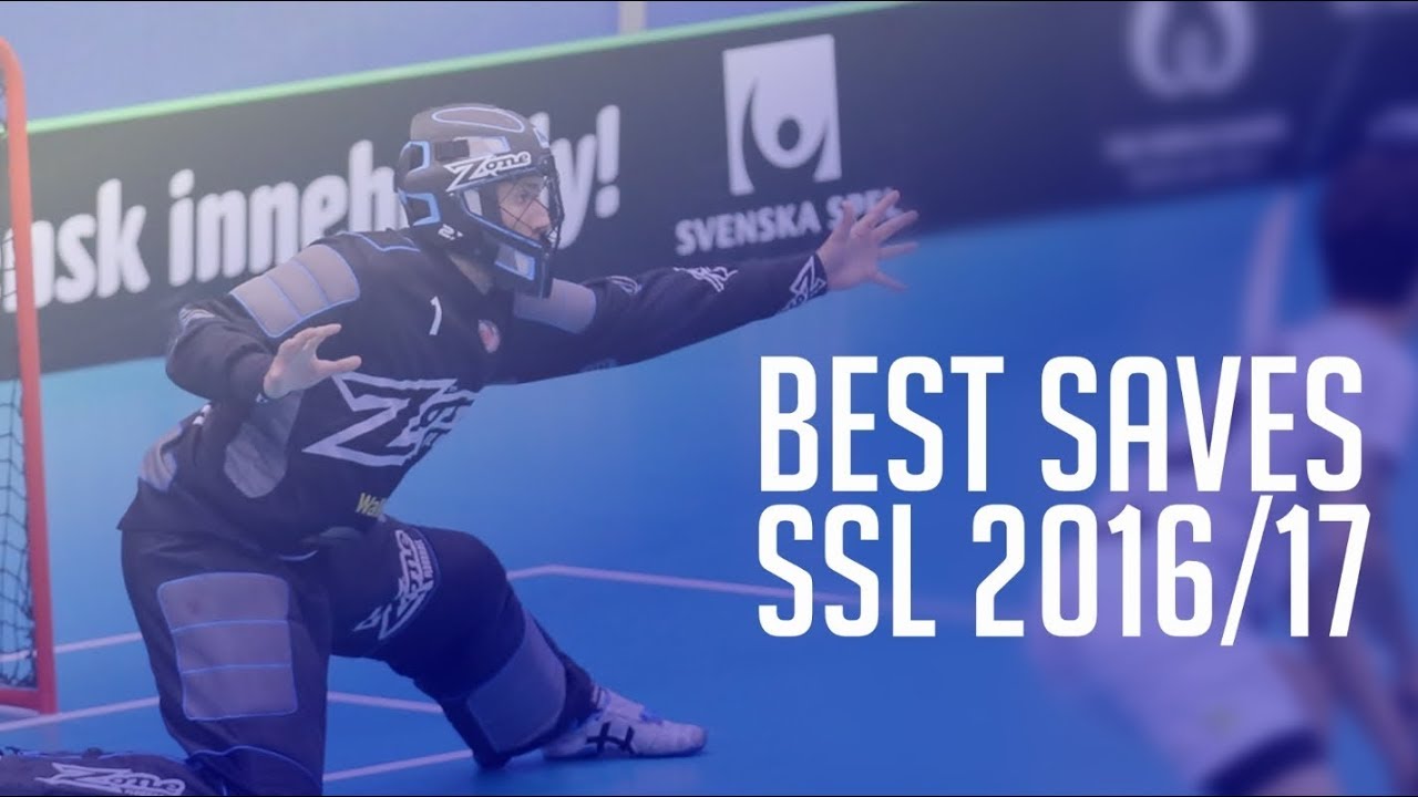 Top 10 Saves of 2016/17 | Swedish Super League