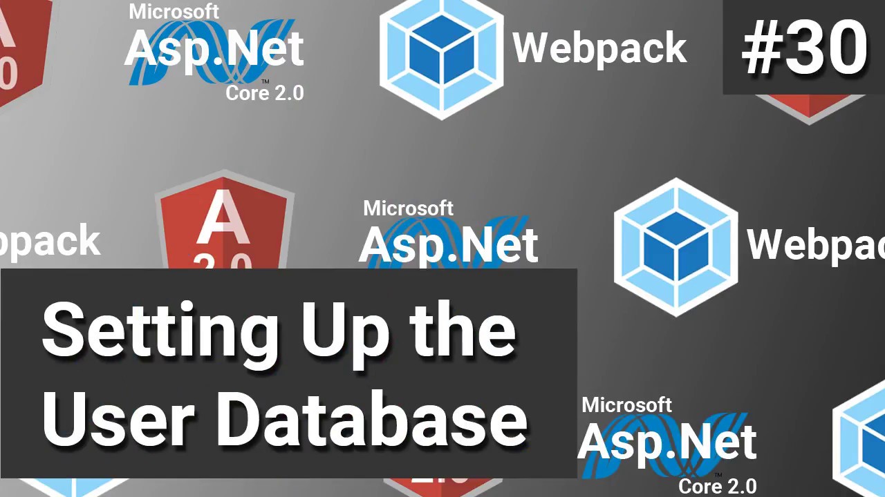 Setting Up the User Database #30 - Asp.Net Core, Angular and Webpack