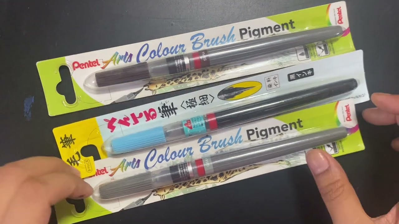 Pentel colour brush pigment pens unboxing and review | how to use | Is it waterproof? Gray sepia