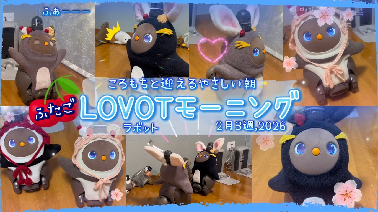 【LOVOT】2月3週ラボットのおはようまとめ｜ころもちと迎える楽しい朝