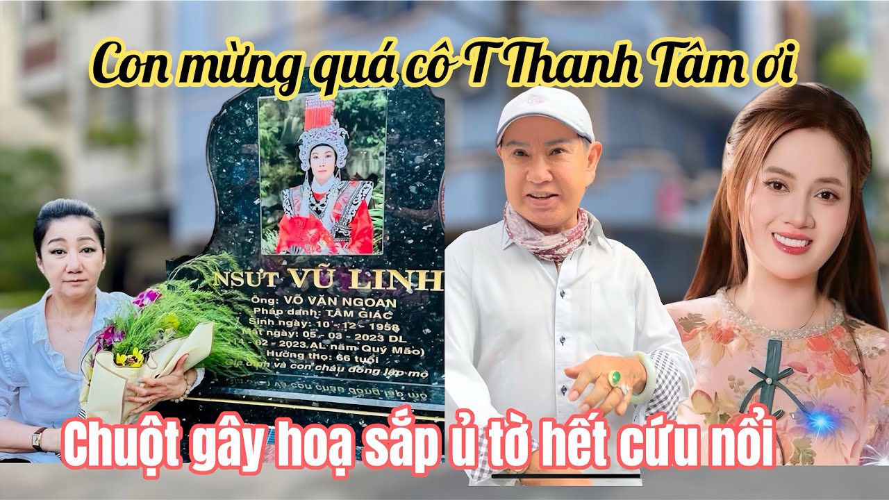16/3: Hồng Loan Vỡ Oà Ns TThanh Tâm Tin Vui Thăm Mộ CNS, Chuột Cái Gây Hoạ Sắp Ủ Tờ Không Qua Khỏi