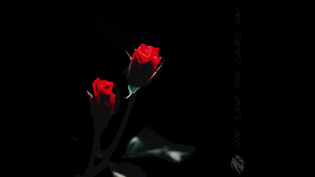 VOID — She Said She Loves You (Instrumental Demo)