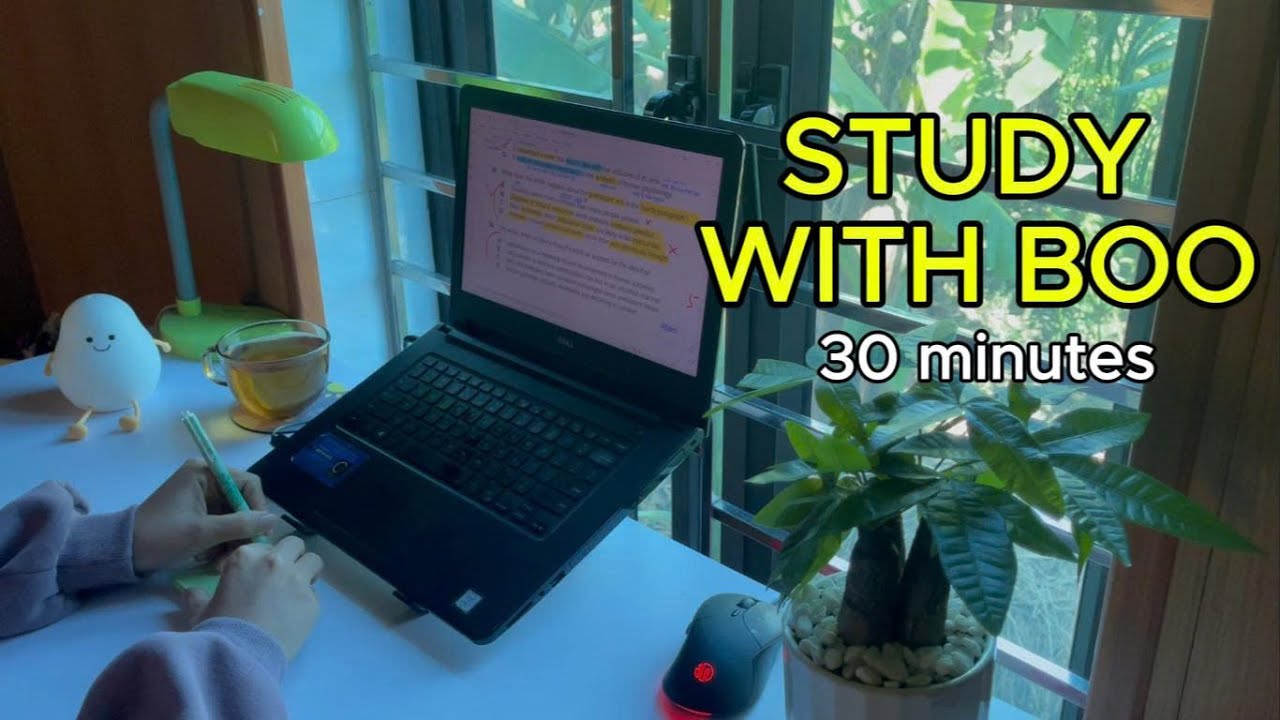 #163: 🌞QUICK 30 MINUTES STUDY WITH ME  🎧| Sunny Day | Real Time | Deep Focus