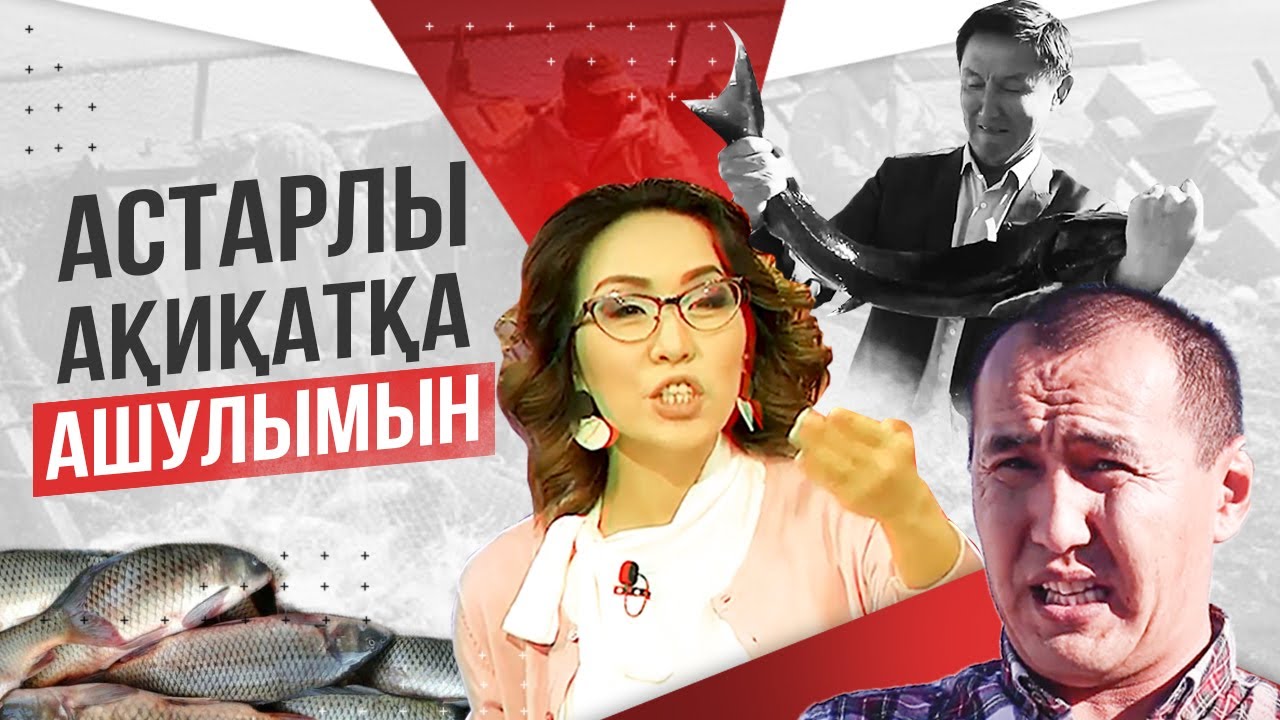 Қалай 20 млн тг табуға болады? Балық шаруашылығы. Балық өсіру. Форель. Бекіре балығы. Сазан өсіру.