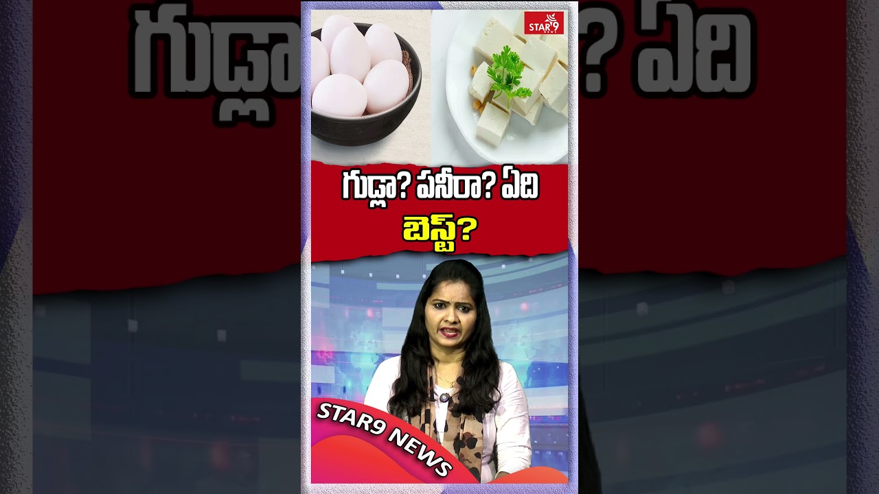 గుడ్లా? పనీరా? ఏది బెస్ట్? || Star9 News Ts || Voice of Truth || @star9newsts