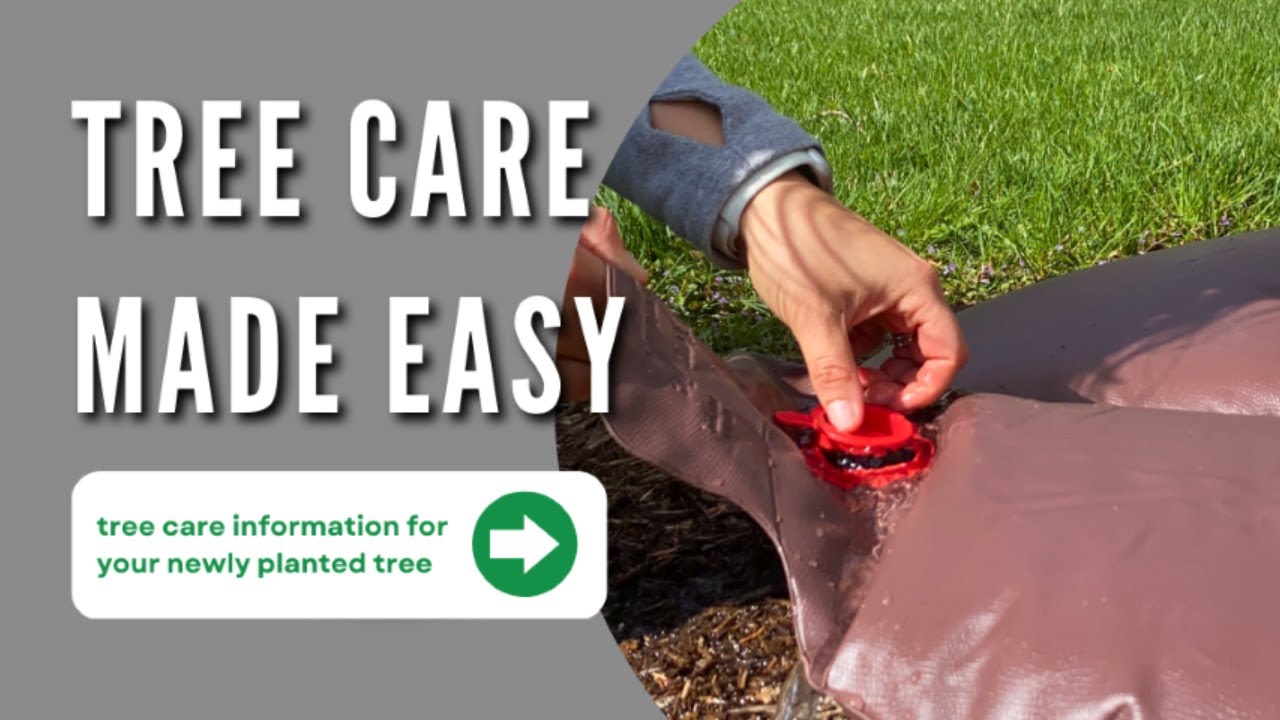Tree Care Made Easy