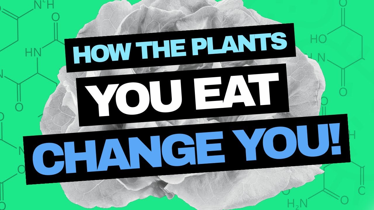 Phytochemicals: The Hidden Plant Compounds that Change Your Body