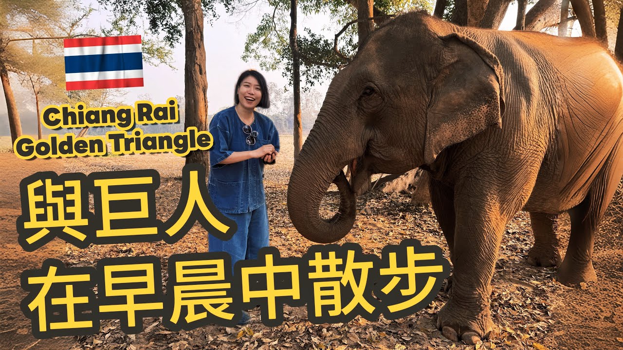  與巨人在早晨中散步 Chiang Rai Golden Triangle |清萊金三角