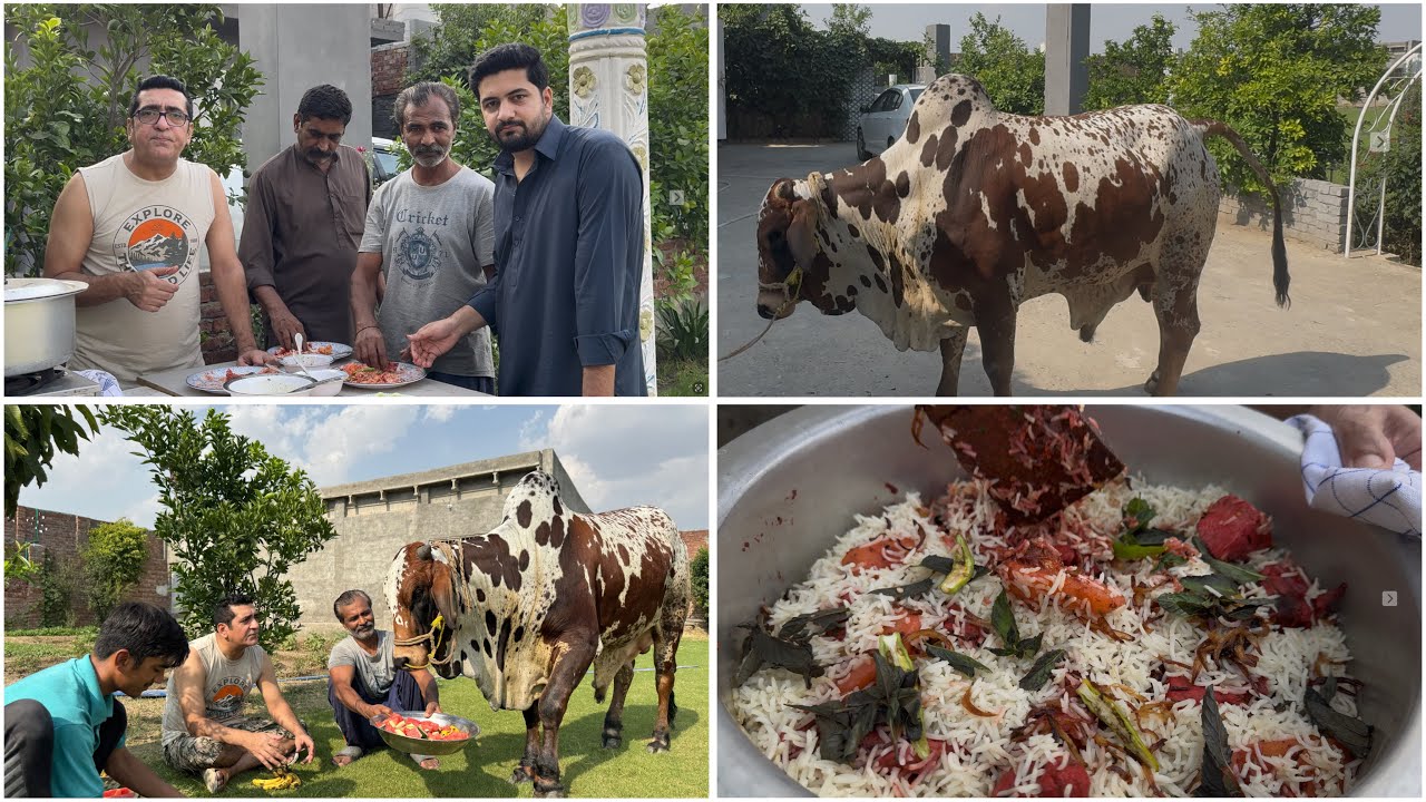 CHICKEN BIRYANI | QURBANI KA WACHA |