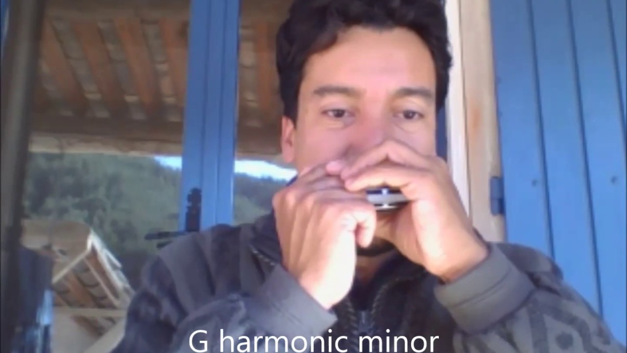 #HarmonicaLesson