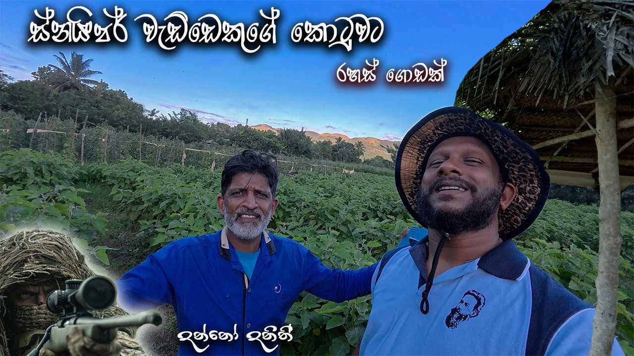 වගා බිමේ අමුතු මිනිස්සු / ලංකාවේ සුපිරි වැඩ්ඩෙක් #travel #srilanka