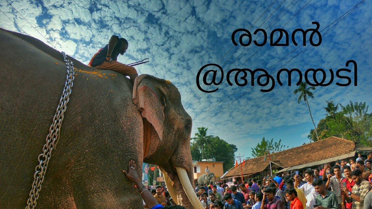 Thechikottukavu Ramachandran|Aanayadi |Sreekrishnasena|2019