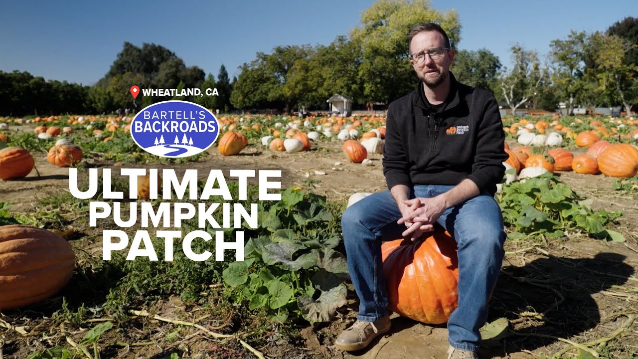 Pumpkins, pig races and rocket-fast slide draw 350,000 visitors to local farm | Bartell's Backroads