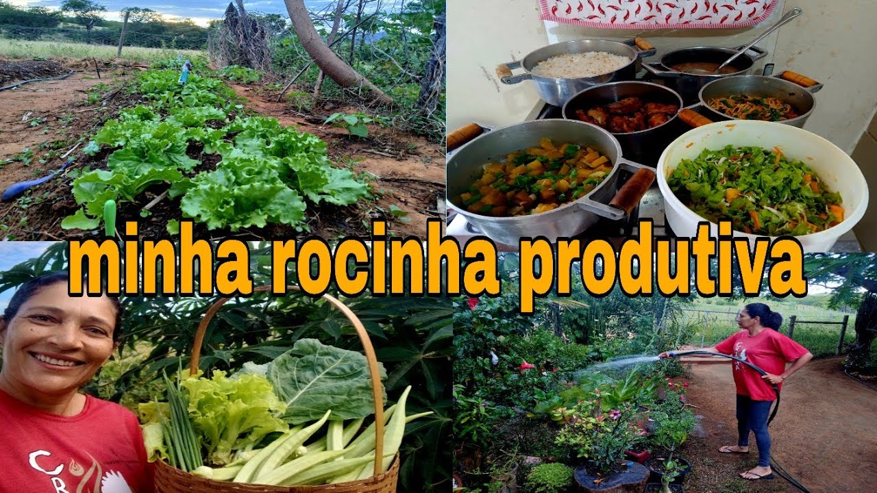 MUITO TRABALHO NA ROCINHA MAIS SIGO EM FRENTE CUIDANDO DO QUE DEUS ME DEU