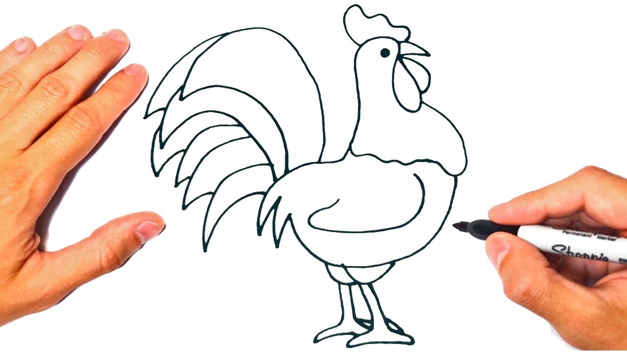 Como dibujar un GALLO de GRANJA | Dibujando un Gallo