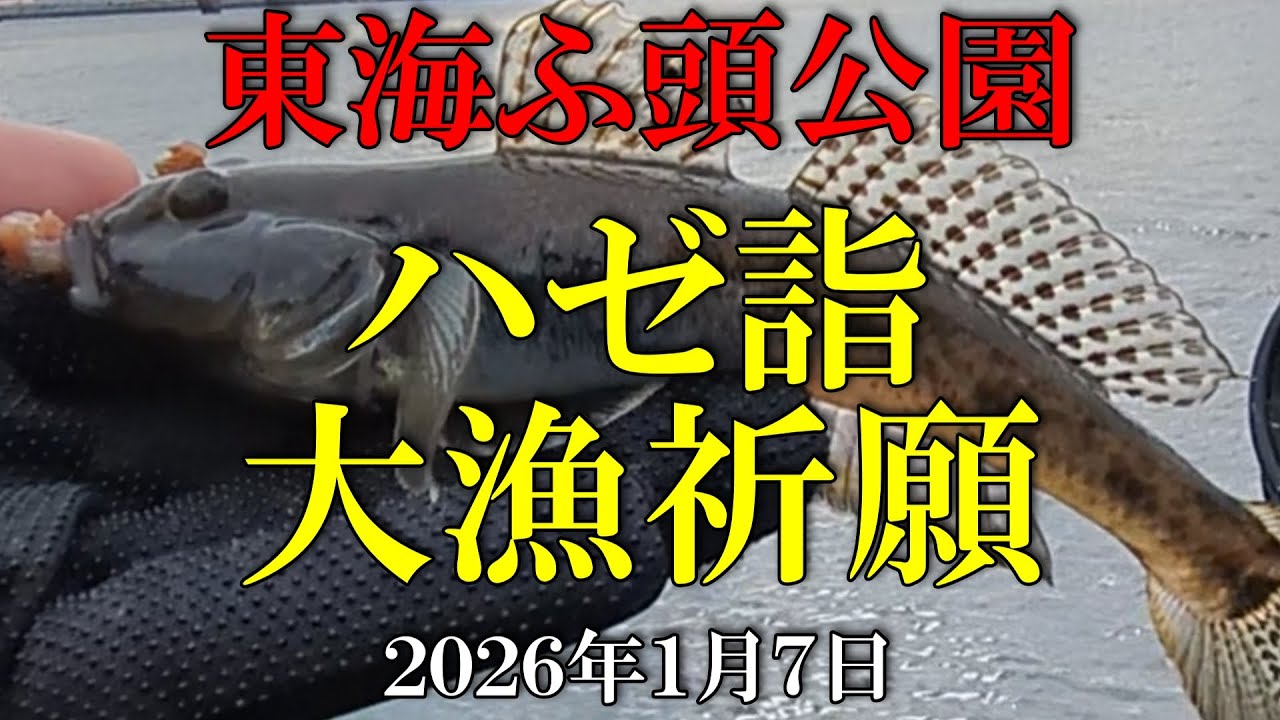 ハゼ詣 東海ふ頭公園で穴釣り ２０２６年１月７日 #ハゼ釣り #鯊 #真鯊 #ハゼ #マハゼ #釣り #穴釣り #東海ふ頭公園 #京浜運河 #大井ふ頭 #東京 #大田区 #江戸