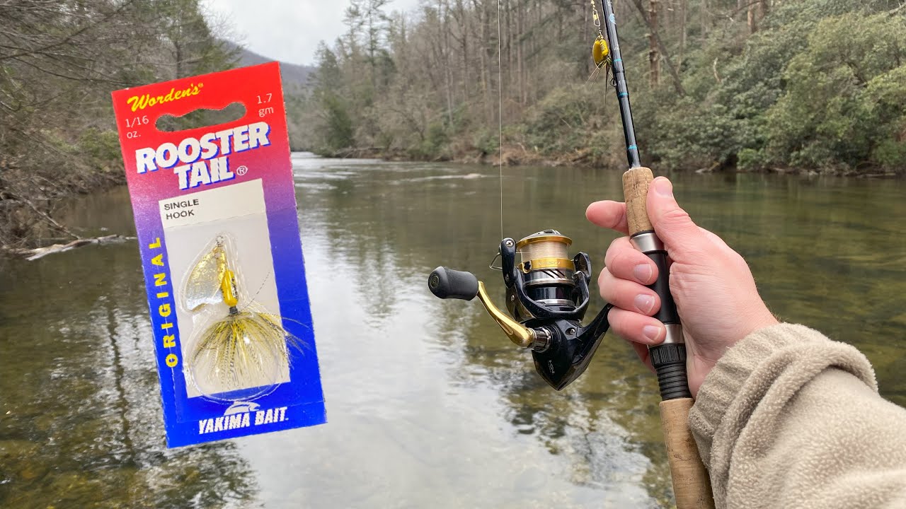 Rooster Tail Winter TROUT Fishing!!